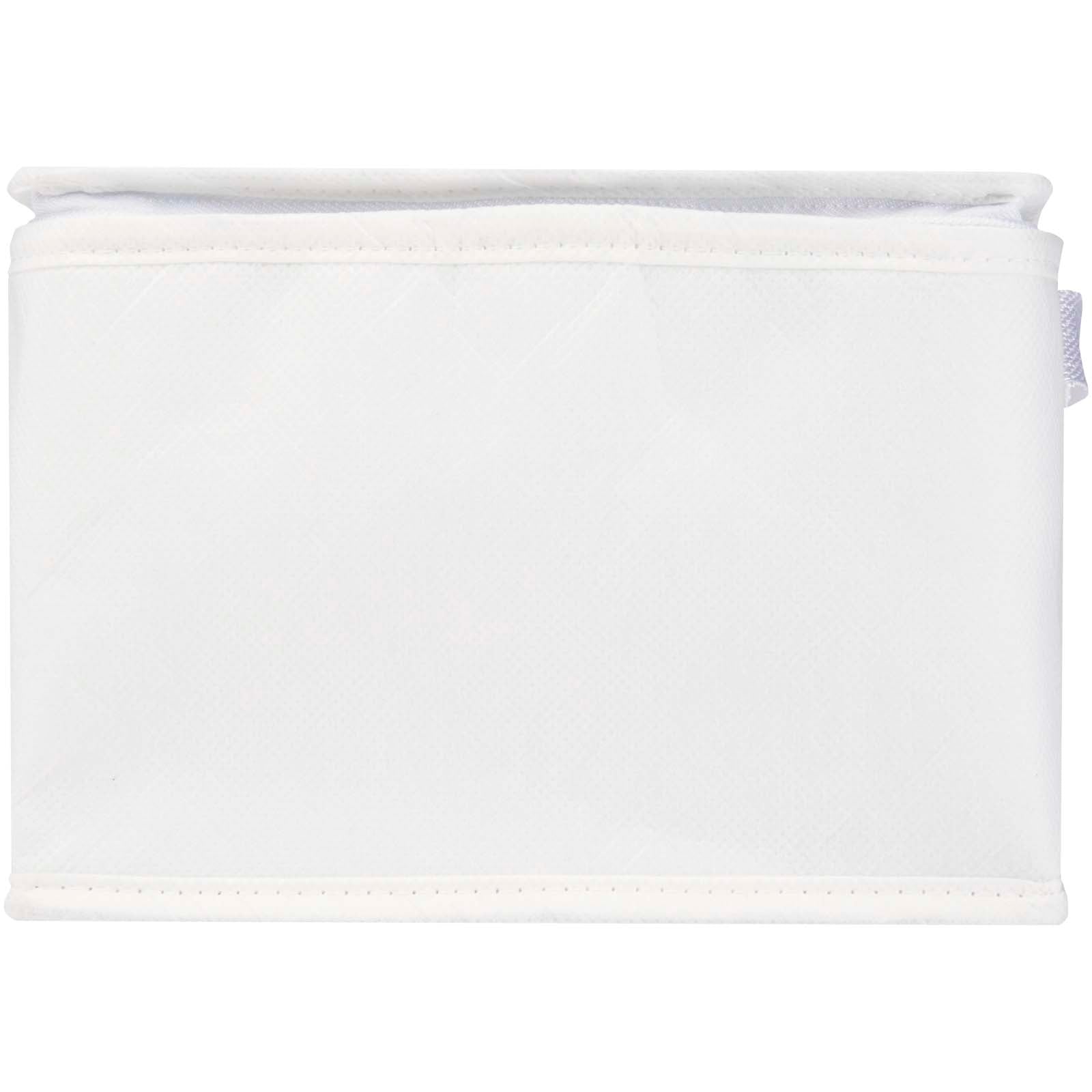 Spectrum 6-can recycled non-woven cooler bag 4L